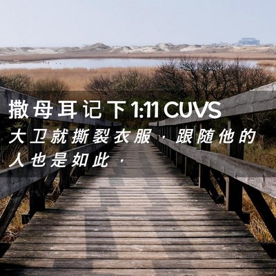Picture 02 - 撒 母 耳 记 下 1:11 CUVS - 大 卫 就 撕 裂 衣 服 ， 跟 随 他 的 - Bible Verse Picture