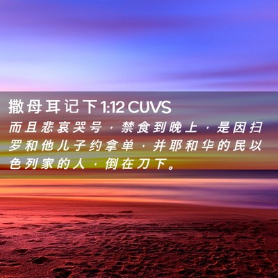 Picture 02 - 撒 母 耳 记 下 1:12 CUVS - 而 且 悲 哀 哭 号 ， 禁 食 到 晚 上 - Bible Verse Picture