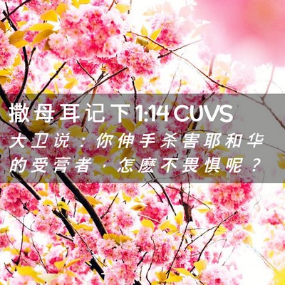 Picture 02 - 撒 母 耳 记 下 1:14 CUVS - 大 卫 说 ： 你 伸 手 杀 害 耶 和 华 - Bible Verse Picture