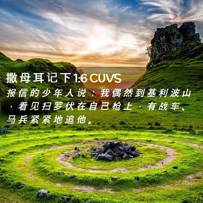 Picture 02 - 撒 母 耳 记 下 1:6 CUVS - 报 信 的 少 年 人 说 ： 我 偶 然 到 - Bible Verse Picture