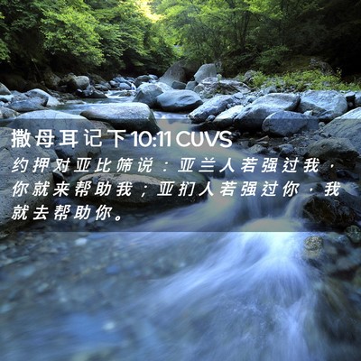 Picture 02 - 撒 母 耳 记 下 10:11 CUVS - 约 押 对 亚 比 筛 说 ： 亚 兰 人 若 - Bible Verse Picture
