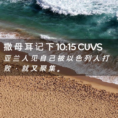 Picture 02 - 撒 母 耳 记 下 10:15 CUVS - 亚 兰 人 见 自 己 被 以 色 列 人 打 - Bible Verse Picture
