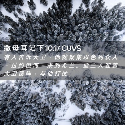 Picture 02 - 撒 母 耳 记 下 10:17 CUVS - 有 人 告 诉 大 卫 ， 他 就 聚 集 以 - Bible Verse Picture