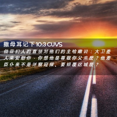 Picture 02 - 撒 母 耳 记 下 10:3 CUVS - 但 亚 扪 人 的 首 领 对 他 们 的 主 - Bible Verse Picture