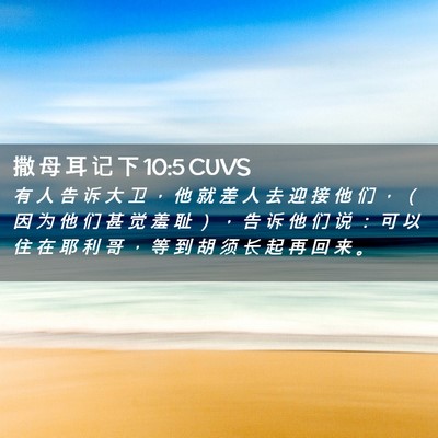 Picture 02 - 撒 母 耳 记 下 10:5 CUVS - 有 人 告 诉 大 卫 ， 他 就 差 人 去 - Bible Verse Picture