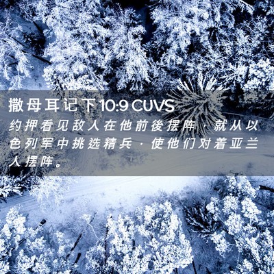 Picture 02 - 撒 母 耳 记 下 10:9 CUVS - 约 押 看 见 敌 人 在 他 前 後 摆 阵 - Bible Verse Picture