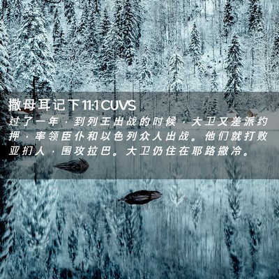 Picture 02 - 撒 母 耳 记 下 11:1 CUVS - 过 了 一 年 ， 到 列 王 出 战 的 时 - Bible Verse Picture