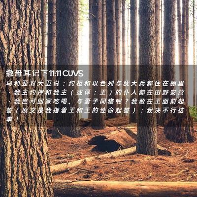 Picture 02 - 撒 母 耳 记 下 11:11 CUVS - 乌 利 亚 对 大 卫 说 ： 约 柜 和 以 - Bible Verse Picture