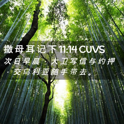 Picture 02 - 撒 母 耳 记 下 11:14 CUVS - 次 日 早 晨 ， 大 卫 写 信 与 约 押 - Bible Verse Picture