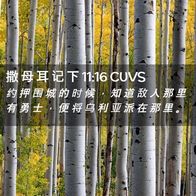 Picture 02 - 撒 母 耳 记 下 11:16 CUVS - 约 押 围 城 的 时 候 ， 知 道 敌 人 - Bible Verse Picture