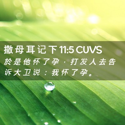 Picture 02 - 撒 母 耳 记 下 11:5 CUVS - 於 是 他 怀 了 孕 ， 打 发 人 去 告 - Bible Verse Picture