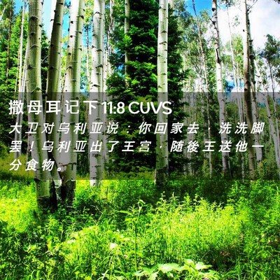 Picture 02 - 撒 母 耳 记 下 11:8 CUVS - 大 卫 对 乌 利 亚 说 ： 你 回 家 去 - Bible Verse Picture