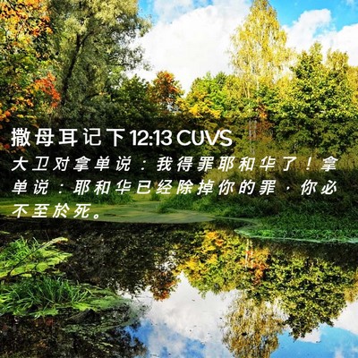 Picture 02 - 撒 母 耳 记 下 12:13 CUVS - 大 卫 对 拿 单 说 ： 我 得 罪 耶 和 - Bible Verse Picture