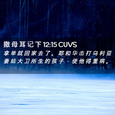 Picture 02 - 撒 母 耳 记 下 12:15 CUVS - 拿 单 就 回 家 去 了 。 耶 和 华 击 - Bible Verse Picture
