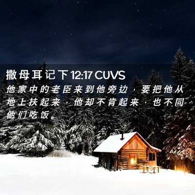 Picture 02 - 撒 母 耳 记 下 12:17 CUVS - 他 家 中 的 老 臣 来 到 他 旁 边 ， - Bible Verse Picture