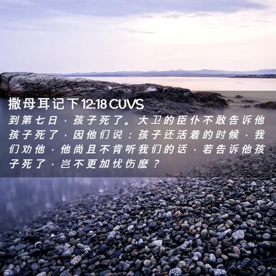 Picture 02 - 撒 母 耳 记 下 12:18 CUVS - 到 第 七 日 ， 孩 子 死 了 。 大 卫 - Bible Verse Picture
