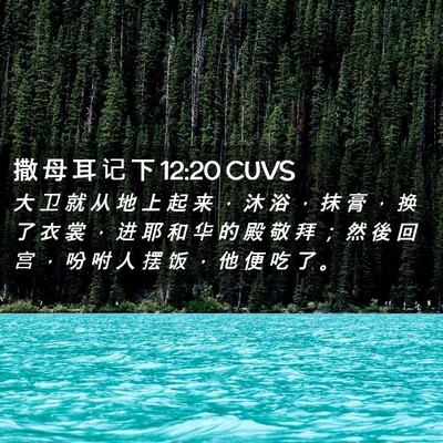Picture 02 - 撒 母 耳 记 下 12:20 CUVS - 大 卫 就 从 地 上 起 来 ， 沐 浴 ， - Bible Verse Picture