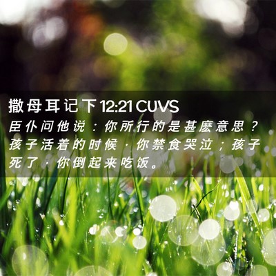 Picture 02 - 撒 母 耳 记 下 12:21 CUVS - 臣 仆 问 他 说 ： 你 所 行 的 是 甚 - Bible Verse Picture