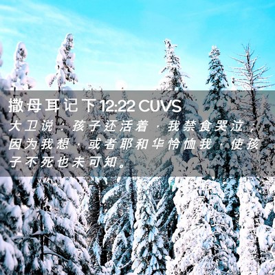 Picture 02 - 撒 母 耳 记 下 12:22 CUVS - 大 卫 说 ： 孩 子 还 活 着 ， 我 禁 - Bible Verse Picture