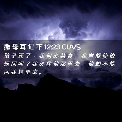 Picture 02 - 撒 母 耳 记 下 12:23 CUVS - 孩 子 死 了 ， 我 何 必 禁 食 ， 我 - Bible Verse Picture