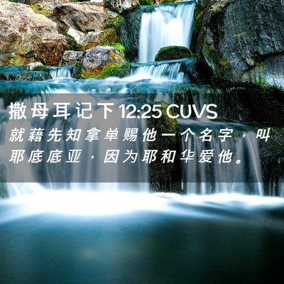 Picture 02 - 撒 母 耳 记 下 12:25 CUVS - 就 藉 先 知 拿 单 赐 他 一 个 名 字 - Bible Verse Picture