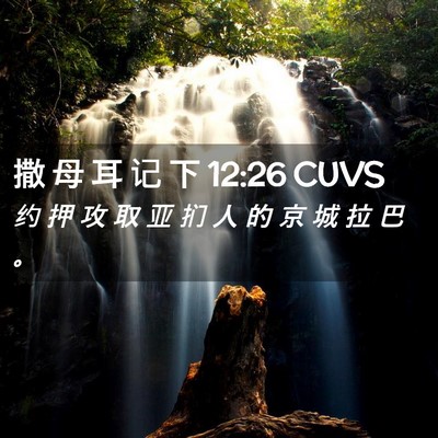 Picture 02 - 撒 母 耳 记 下 12:26 CUVS - 约 押 攻 取 亚 扪 人 的 京 城 拉 巴 - Bible Verse Picture