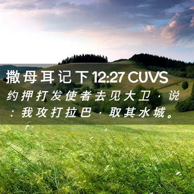 Picture 02 - 撒 母 耳 记 下 12:27 CUVS - 约 押 打 发 使 者 去 见 大 卫 ， 说 - Bible Verse Picture