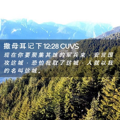 Picture 02 - 撒 母 耳 记 下 12:28 CUVS - 现 在 你 要 聚 集 其 馀 的 军 兵 来 - Bible Verse Picture
