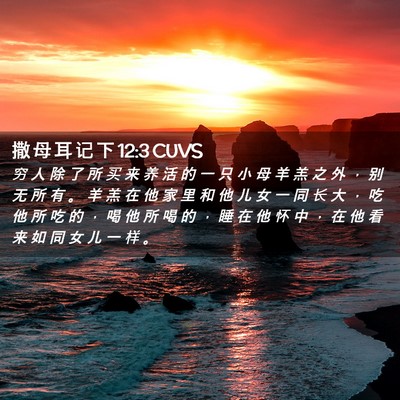 Picture 02 - 撒 母 耳 记 下 12:3 CUVS - 穷 人 除 了 所 买 来 养 活 的 一 只 - Bible Verse Picture