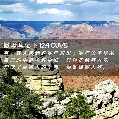 Picture 02 - 撒 母 耳 记 下 12:4 CUVS - 有 一 客 人 来 到 这 富 户 家 里 ； - Bible Verse Picture