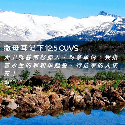 Picture 02 - 撒 母 耳 记 下 12:5 CUVS - 大 卫 就 甚 恼 怒 那 人 ， 对 拿 单 - Bible Verse Picture
