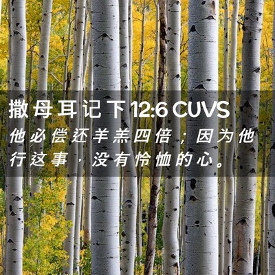 Picture 02 - 撒 母 耳 记 下 12:6 CUVS - 他 必 偿 还 羊 羔 四 倍 ； 因 为 他 - Bible Verse Picture