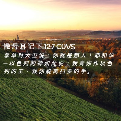 Picture 02 - 撒 母 耳 记 下 12:7 CUVS - 拿 单 对 大 卫 说 ： 你 就 是 那 人 - Bible Verse Picture