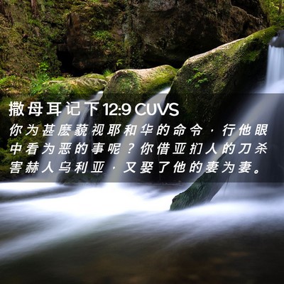 Picture 02 - 撒 母 耳 记 下 12:9 CUVS - 你 为 甚 麽 藐 视 耶 和 华 的 命 令 - Bible Verse Picture