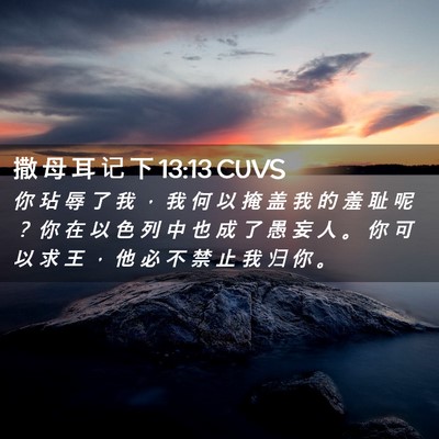 Picture 02 - 撒 母 耳 记 下 13:13 CUVS - 你 玷 辱 了 我 ， 我 何 以 掩 盖 我 - Bible Verse Picture