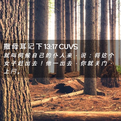 Picture 02 - 撒 母 耳 记 下 13:17 CUVS - 就 叫 伺 候 自 己 的 仆 人 来 ， 说 - Bible Verse Picture