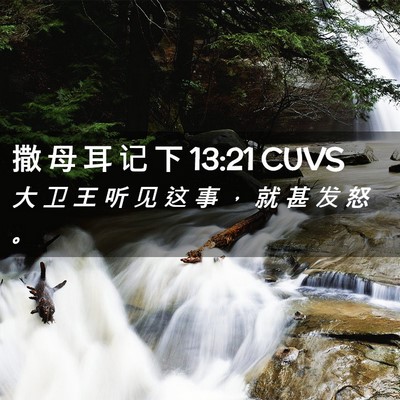 Picture 02 - 撒 母 耳 记 下 13:21 CUVS - 大 卫 王 听 见 这 事 ， 就 甚 发 怒 - Bible Verse Picture