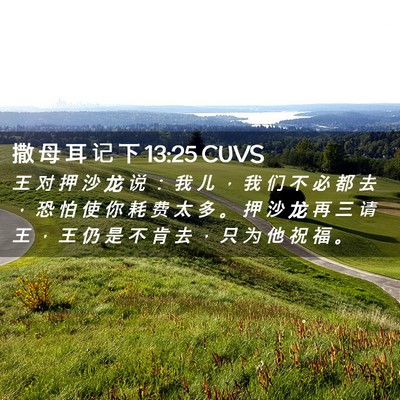 Picture 02 - 撒 母 耳 记 下 13:25 CUVS - 王 对 押 沙 龙 说 ： 我 儿 ， 我 们 - Bible Verse Picture