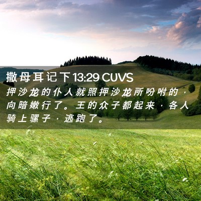Picture 02 - 撒 母 耳 记 下 13:29 CUVS - 押 沙 龙 的 仆 人 就 照 押 沙 龙 所 - Bible Verse Picture