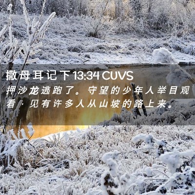 Picture 02 - 撒 母 耳 记 下 13:34 CUVS - 押 沙 龙 逃 跑 了 。 守 望 的 少 年 - Bible Verse Picture