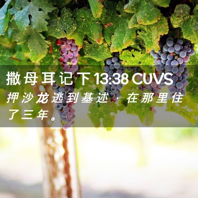 Picture 02 - 撒 母 耳 记 下 13:38 CUVS - 押 沙 龙 逃 到 基 述 ， 在 那 里 住 - Bible Verse Picture