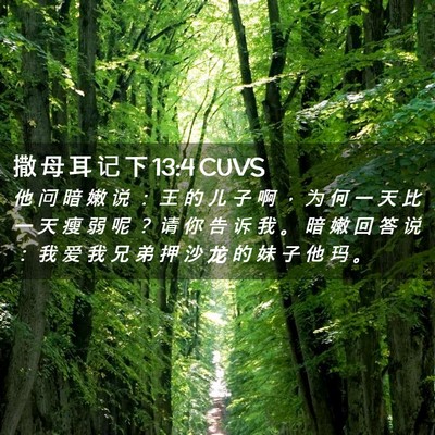 Picture 02 - 撒 母 耳 记 下 13:4 CUVS - 他 问 暗 嫩 说 ： 王 的 儿 子 啊 ， - Bible Verse Picture