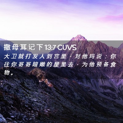Picture 02 - 撒 母 耳 记 下 13:7 CUVS - 大 卫 就 打 发 人 到 宫 里 ， 对 他 - Bible Verse Picture