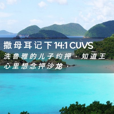 Picture 02 - 撒 母 耳 记 下 14:1 CUVS - 洗 鲁 雅 的 儿 子 约 押 ， 知 道 王 - Bible Verse Picture