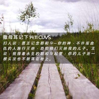 Picture 02 - 撒 母 耳 记 下 14:11 CUVS - 妇 人 说 ： 愿 王 记 念 耶 和 华 ─ - Bible Verse Picture