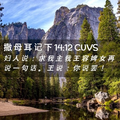 Picture 02 - 撒 母 耳 记 下 14:12 CUVS - 妇 人 说 ： 求 我 主 我 王 容 婢 女 - Bible Verse Picture