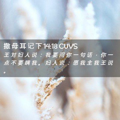 Picture 02 - 撒 母 耳 记 下 14:18 CUVS - 王 对 妇 人 说 ： 我 要 问 你 一 句 - Bible Verse Picture