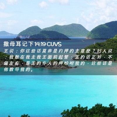 Picture 02 - 撒 母 耳 记 下 14:19 CUVS - 王 说 ： 你 这 些 话 莫 非 是 约 押 - Bible Verse Picture