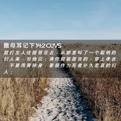 Picture 02 - 撒 母 耳 记 下 14:2 CUVS - 就 打 发 人 往 提 哥 亚 去 ， 从 那 - Bible Verse Picture