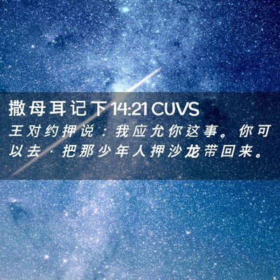 Picture 02 - 撒 母 耳 记 下 14:21 CUVS - 王 对 约 押 说 ： 我 应 允 你 这 事 - Bible Verse Picture